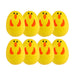 Happy Animal Easter Eggs 8 Pack Easter Gifts & Decorations FabFinds   