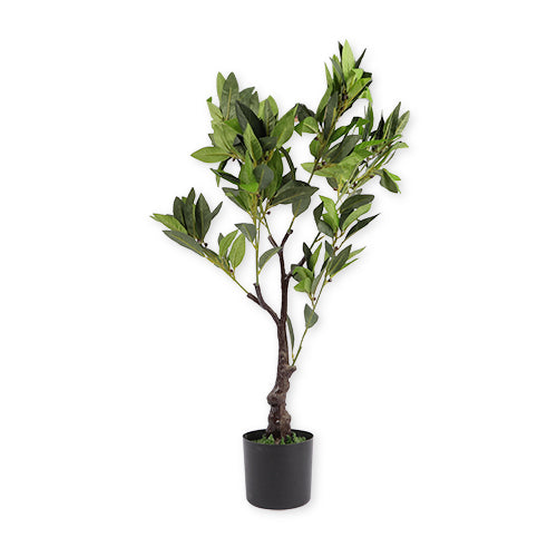 Artificial Bay Tree in Black Pot 70cm (2ft) Artificial Plant The Greenery   