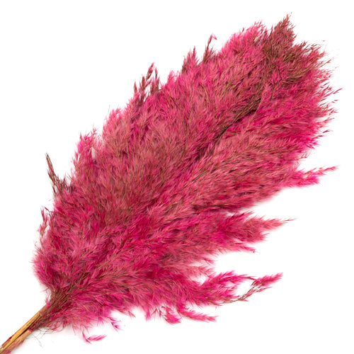 Dried Pampas Grass Stems 3 Pcs Assorted Colours Home Decoration FabFinds Pink  