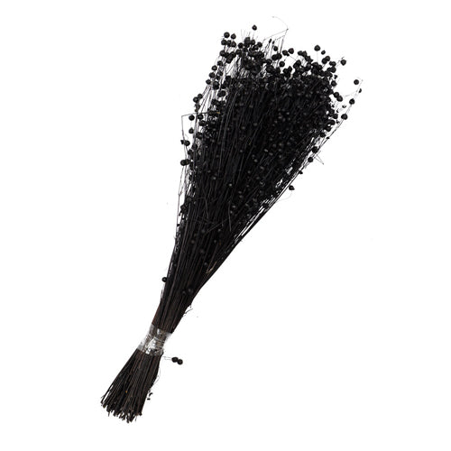 Tissi Grass Dried Stems Bunch 46cm Assorted Colours Home Decoration FabFinds Black  