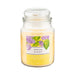 Liberty Candles Spring Clean Scented Candle 18oz Candles FabFinds   