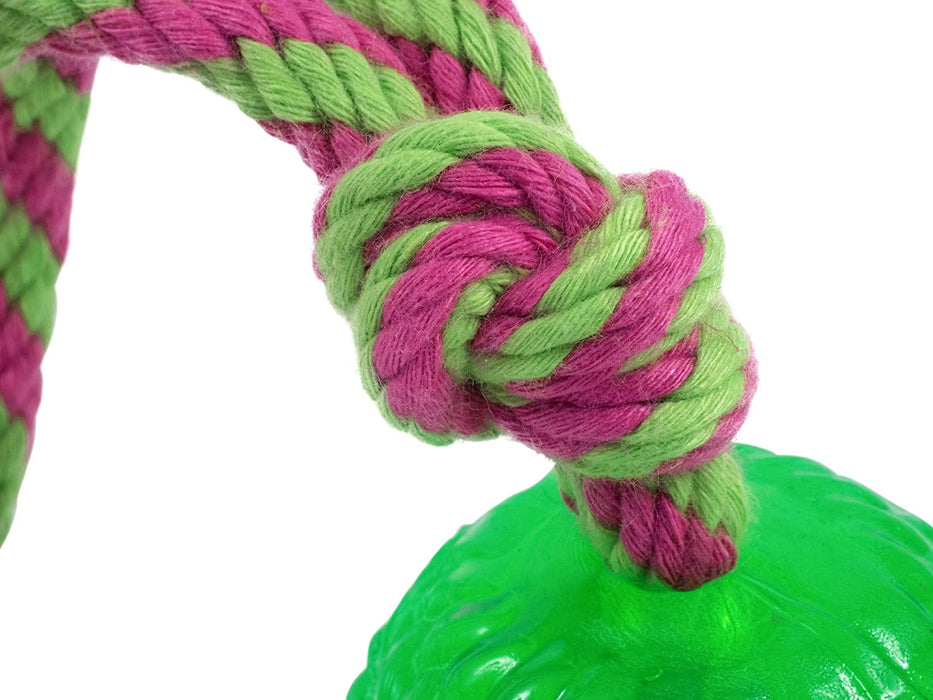 Petface Toyz Chew and Bouncy Rope Ball for Dogs Dog Toy Petface   