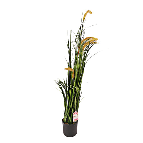 The Greenery Meadow Grass Artificial Plant 3.3Ft Artificial Trees The Greenery   