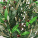 Artificial Olive Fruit Tree 90cm (3ft) Artificial Trees FabFinds   