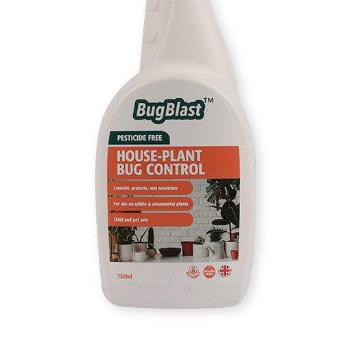 house plant bug control Bugblast House-Plant Bug Control Spray 750ml