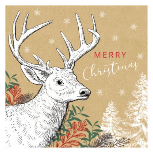 Modern Kraft Christmas Cards Assorted Designs 10 Pack Christmas Cards Giftmaker   