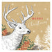 Modern Kraft Christmas Cards Assorted Designs 10 Pack Christmas Cards Giftmaker   