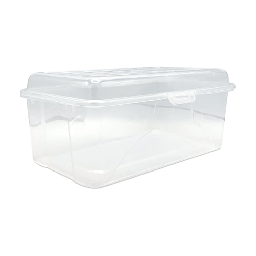 Plastic Storage Shoe Box & Lid L30cm x H10cm x W18cm Storage Boxes FabFinds   