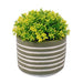 Olive Trendy Striped Pot Yellow Artificial Plant 16cm Artificial Trees FabFinds   