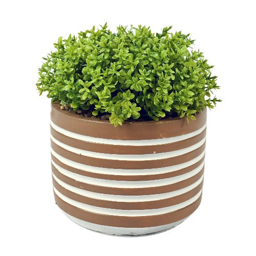 Brown Trendy Striped Pot Green Artificial Plant 16cm Artificial Trees FabFinds   
