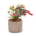 Butterfly Patterned Grey Pot Artificial Red & White Flower Plant Artificial Trees FabFinds   