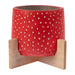 Ceramic Spotty Planter on Wooden Stand Assorted Colours 11cm Plant Pots & Planters FabFinds Red  