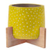 Ceramic Spotty Planter on Wooden Stand Assorted Colours 11cm Plant Pots & Planters FabFinds Yellow  