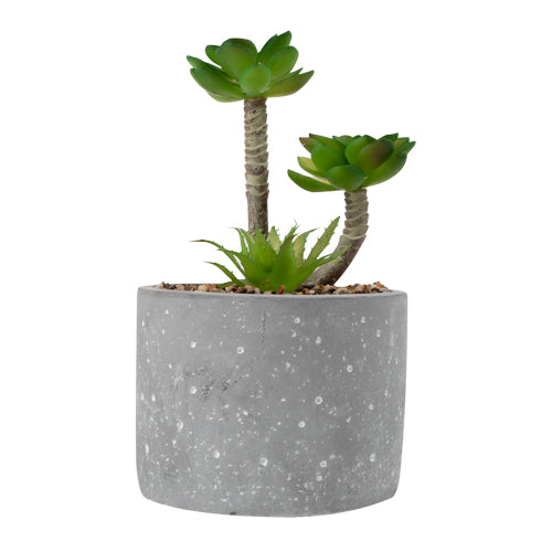The Greenery Artificial Succulent Plant Artificial Plant The Greenery   