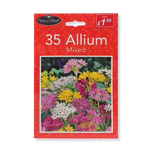 Crown & Brooke Allium Flower Bulbs 35 Pk Plant & Flower Bulbs crown & brooke   