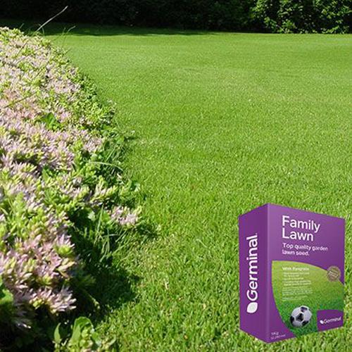 Germinal Family Pack Of Lawn Seed With Ryegrass 1kg Lawn & Plant Care Germinal   
