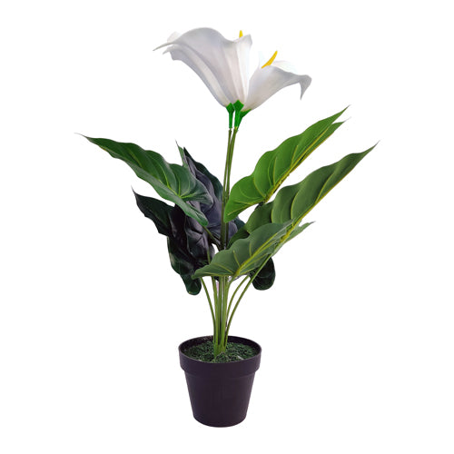 The Greenery Artificial Lily Plant Artificial Trees The Greenery White  