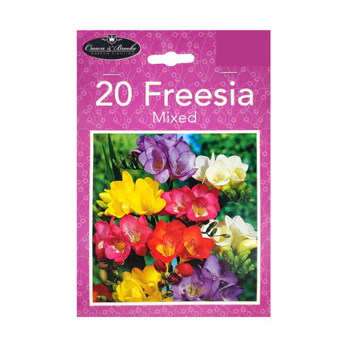 Crown & Brooke Freesia Mixed Bulbs 20 Pk Seeds, Bulbs & Live Plants Crown & Brooke   