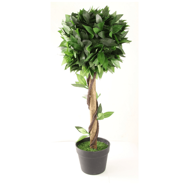 The Greenery Artificial Bay Tree 2.2Ft Artificial Trees The Greenery   