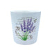 Decorative White Dolomite Plant Pot Plant Pots & Planters FabFinds   