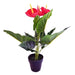 The Greenery Artificial Red Anthurium Plant Artificial Trees The Greenery   