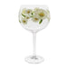 Ginology Daisy Copa Gin Glass 22cm Glass Ginology   