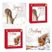 Squirrel and Deer Christmas Cards 12 Pack Christmas Cards Giftmaker   