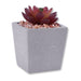 Faux Succulent Decorative Pastel Pot 10cm Assorted Colours Artificial Trees FabFinds Grey Pastel Pot With Purple Plant  