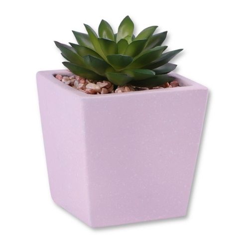 Faux Succulent Decorative Pastel Pot 10cm Assorted Colours Artificial Trees FabFinds Pastel Pink Pot With Green Plant  