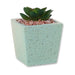 Faux Succulent Decorative Pastel Pot 10cm Assorted Colours Artificial Trees FabFinds Pastel Turquoise Pot With Green Plant  