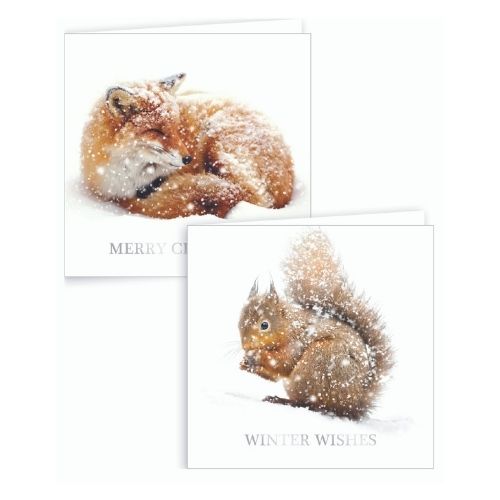 Fox and Squirrel Boxed Christmas Cards 12 Pk Christmas Cards Gift Works   