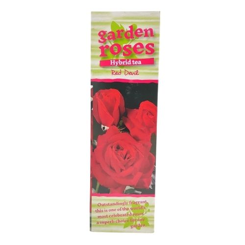 Garden Roses Hybrid Tea Red Devil 105cm Seeds and Bulbs FabFinds   