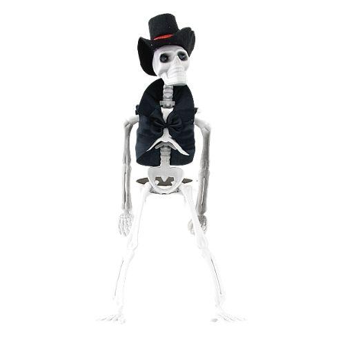 Halloween Groom Skeleton Plastic Decoration Halloween Accessories FabFinds   