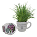 Grow Your Own Chives Set in Ceramic Pot Seeds, Bulbs & Live Plants FabFinds   