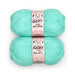 Bonjour Baby Pastel Double Knitting Yarn 2x100g Assorted Colours Knitting Yarn & Wool FabFinds Mint  