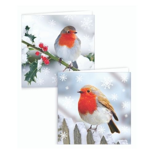Robin Boxed Christmas Cards 12 Pk Christmas Cards Gift Works   