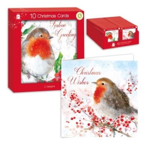 Festive Robin Boxed Christmas Cards Assorted Designs 10 Pk Christmas Cards Giftmaker Robin Festive Greetings & Christmas Wishes  