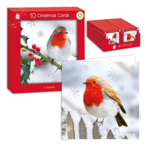 Festive Robin Boxed Christmas Cards Assorted Designs 10 Pk Christmas Cards Giftmaker Robin & Snowflakes  