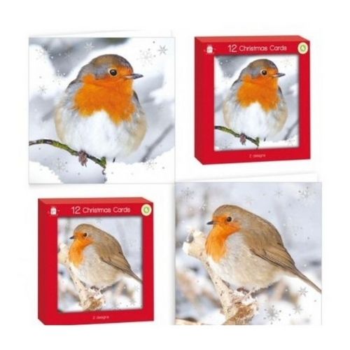 Robin Christmas Cards 12 Pk Assorted Designs Christmas Cards Design Group   