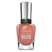 Sally Hansen Salon Nail Polish So Much Fawn 260 Nail Polish sally hansen   