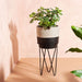 Sass & Belle Black Dip Planter With Wire Stand Plant Pots & Planters Sass & Belle   