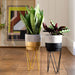 Sass & Belle Black Dip Planter With Wire Stand Plant Pots & Planters Sass & Belle   