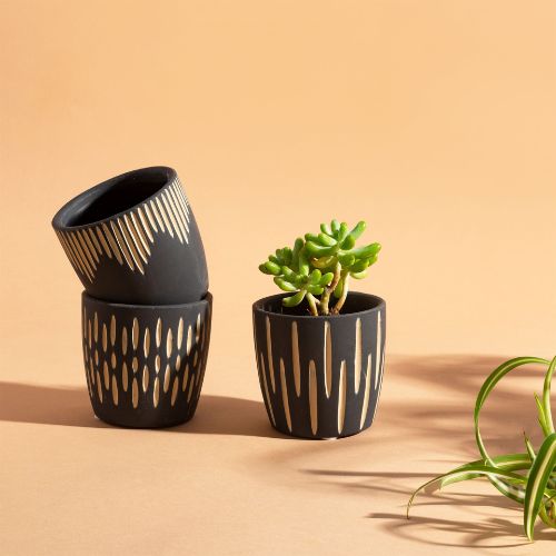 Sass & Belle Black Sgrafitto Mini Planters - Set Of 3 Plant Pots & Planters Sass & Belle   