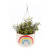 Sass & Belle Chasing Rainbows Hanging Planter Plant Pots & Planters Sass & Belle   