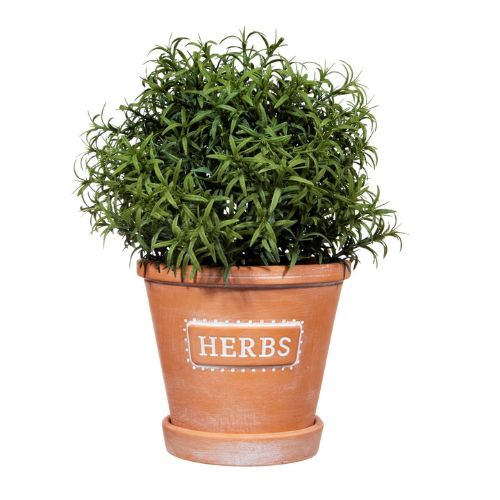 Sass & Belle Herbs Terracotta Planter With Saucer Plant Pots & Planters Sass & Belle   