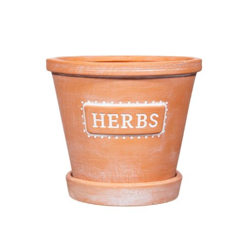 Sass & Belle Herbs Terracotta Planter With Saucer Plant Pots & Planters Sass & Belle   