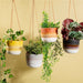 Sass & Belle Mojave Black Hanging Planter Plant Pots & Planters Sass & Belle   