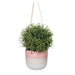 Sass & Belle Mojave Glaze Pink Hanging Planter Plant Pots & Planters Sass & Belle   