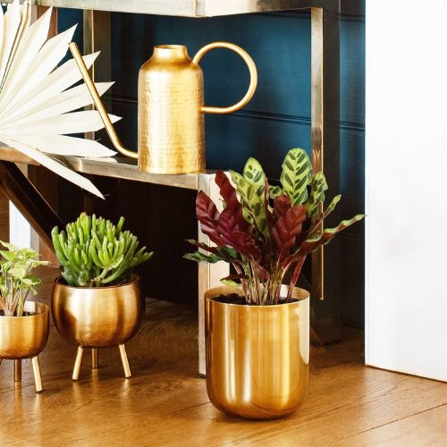 gold plant pot uk Sass & Belle Polished Gold Metal Planter 12.5cm