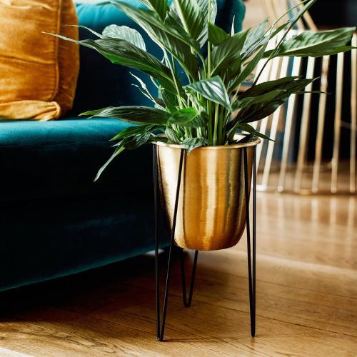 Sass & Belle Polished Gold Metal Planter On Stand Medium Pots & Planters Sass & Belle   